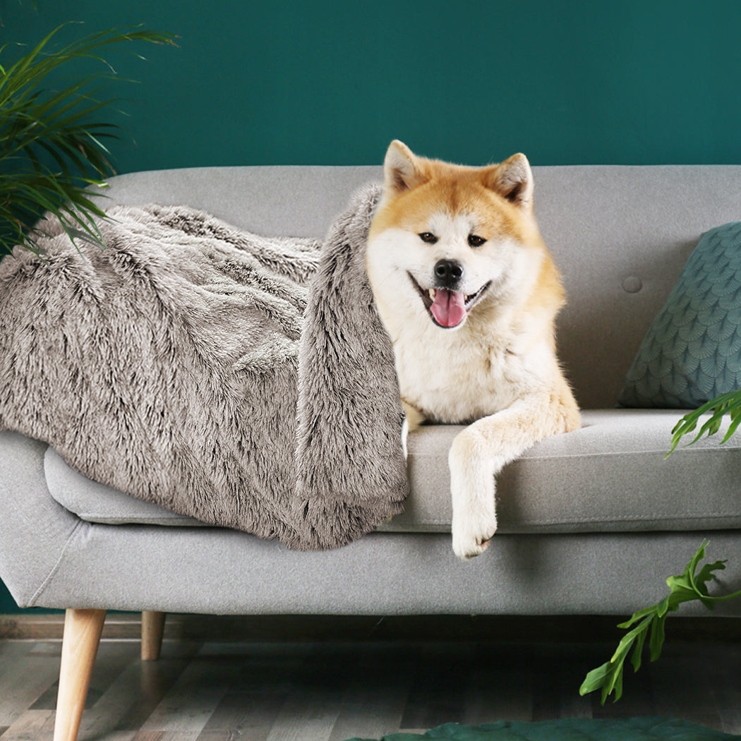 pawz-dog-blanket-pet-cat-mat-puppy-warm-brown-1975420457951825926