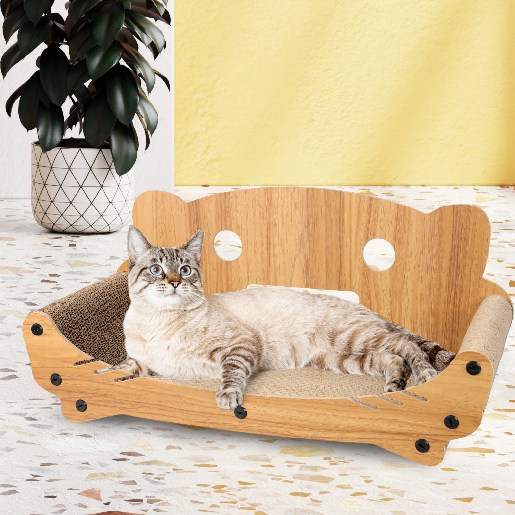 pawz-cat-kitten-claw-scratching-board-1973193668072443910