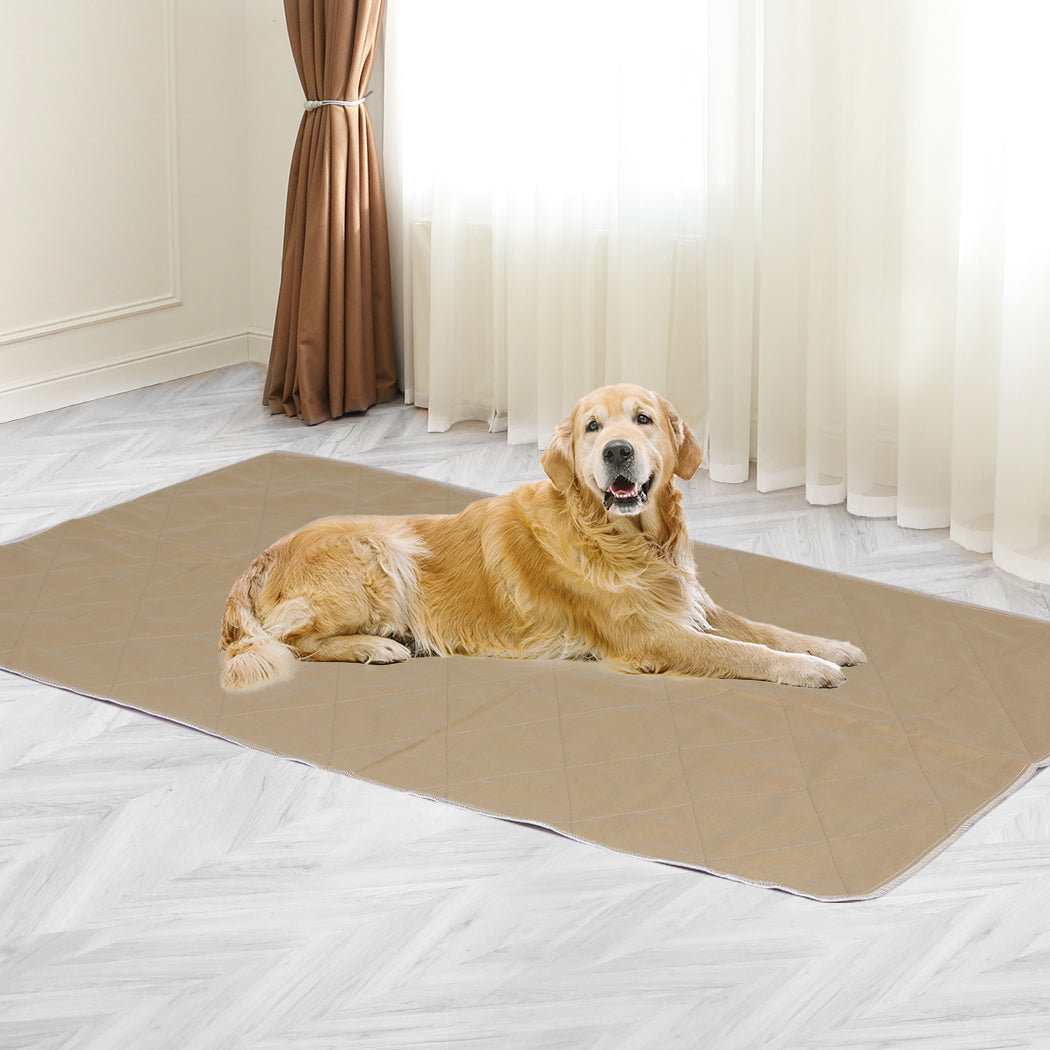 pawz-2-pcs-120x120-cm-reusable-waterproof-jumbo-1975420507331366918