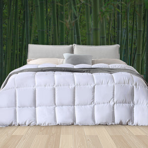 DreamZ 200GSM All Season Bamboo Winter Queen-1973193833109917702