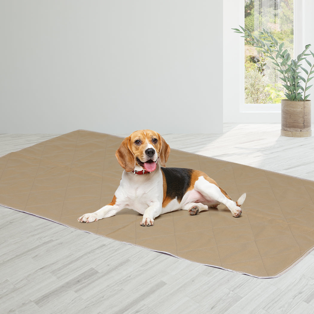 pawz-2-pcs-90x90-cm-reusable-waterproof-xx-large-1973193826868793351