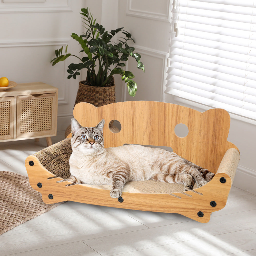 pawz-cat-kitten-claw-scratching-board-1973193668072443911