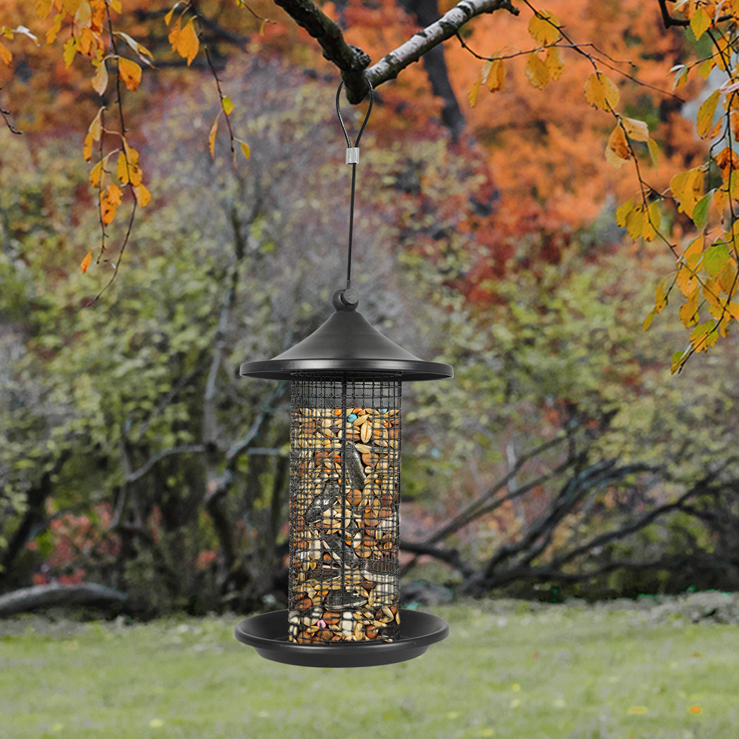 pawz-3x-bird-feeder-hanging-wild-seed-1996005383847677959