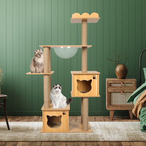 PaWz Cat Tree Scratching Post Scratcher-1975420460812341255