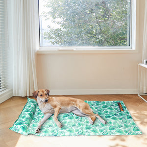 PaWz Pet Cooling Mat Cat Dog Gel Non-Toxic Large-1973193669196517383