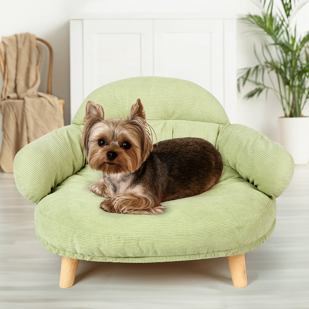 pawz-elevated-pet-dog-cat-sofa-bed-couch-xl-size-green-1996005432312860679
