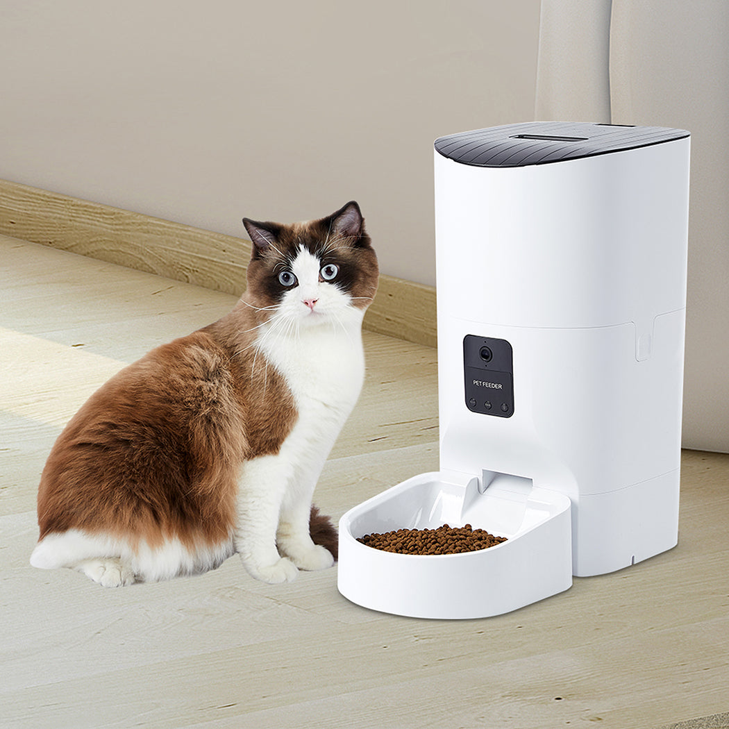 pawz-6l-auto-feeder-pet-automatic-camera-1975420452721528839