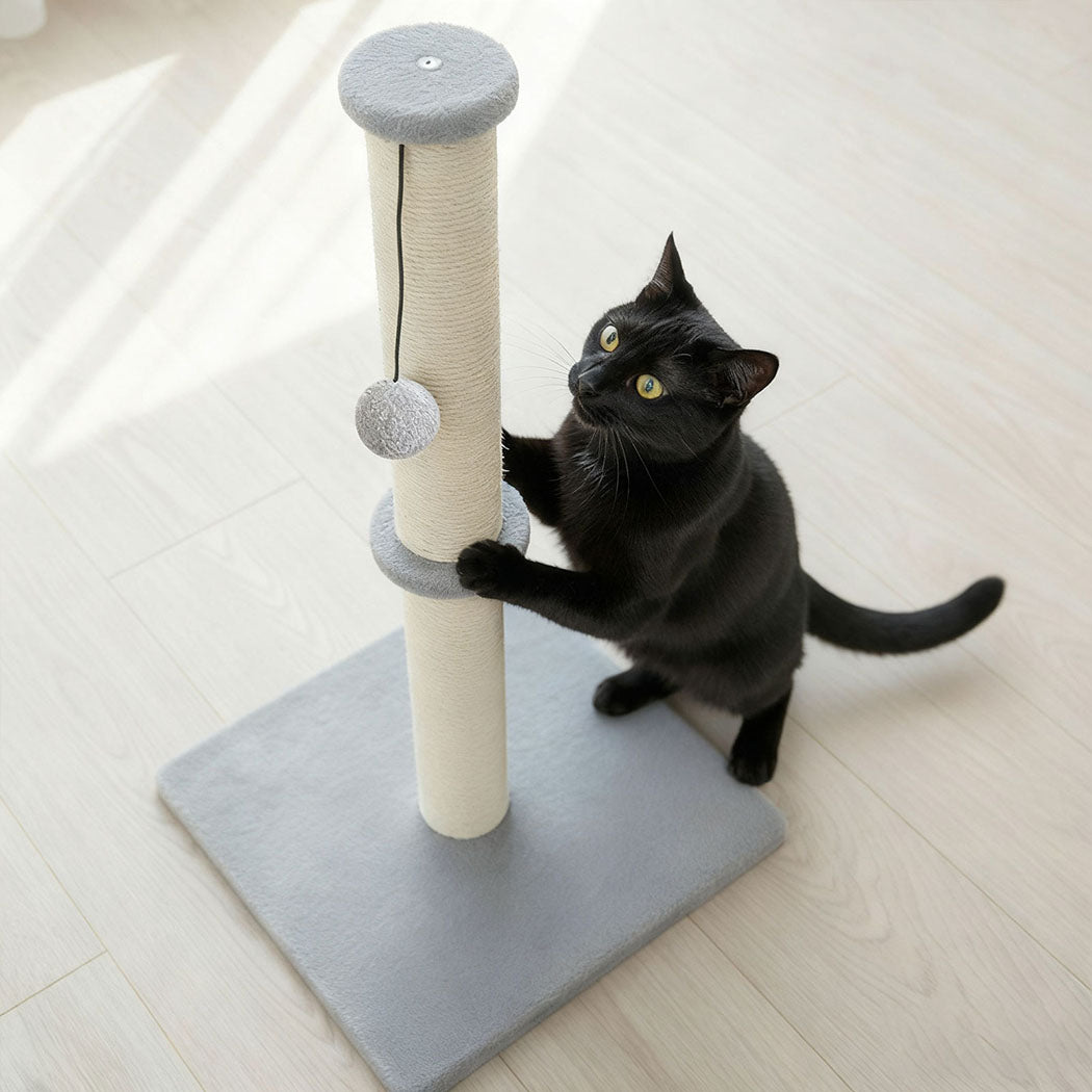pawz-cat-scratcher-scratching-post-1996005541633200135
