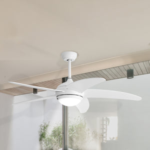 Spector Ceiling Fan 52'' DC Motor Wood White-1973193856753209351