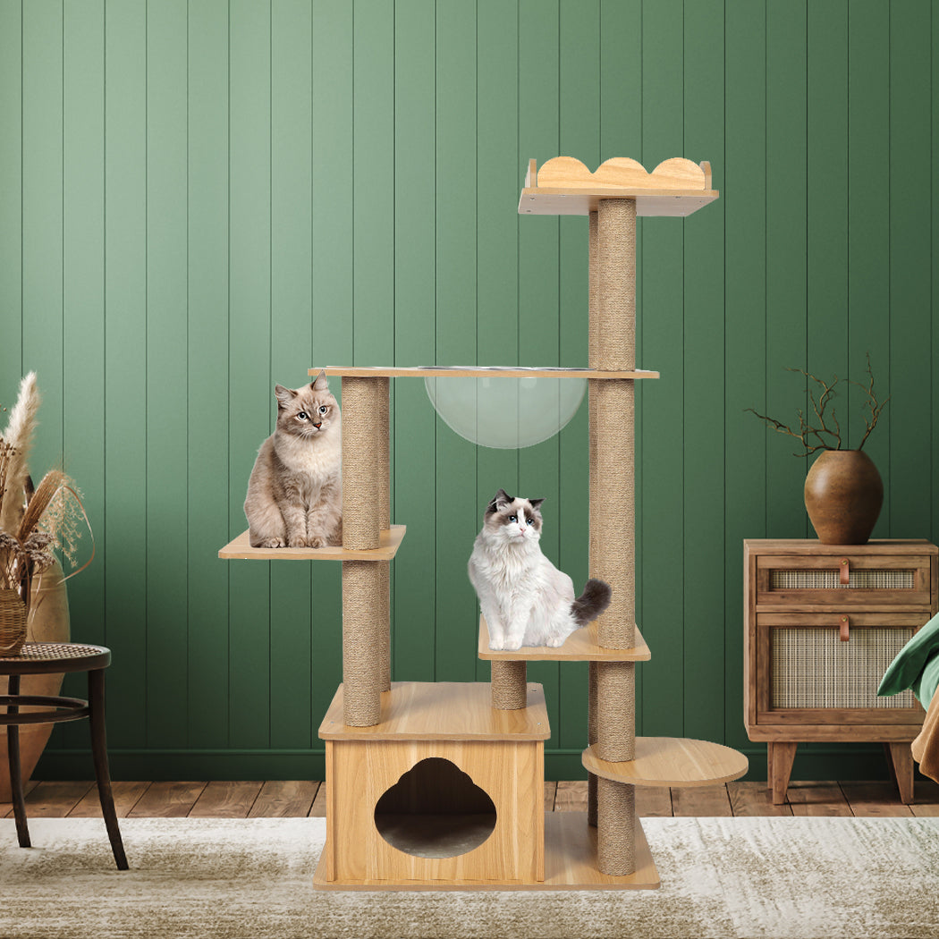 pawz-cat-tree-scratching-post-scratcher-1975420460619403271