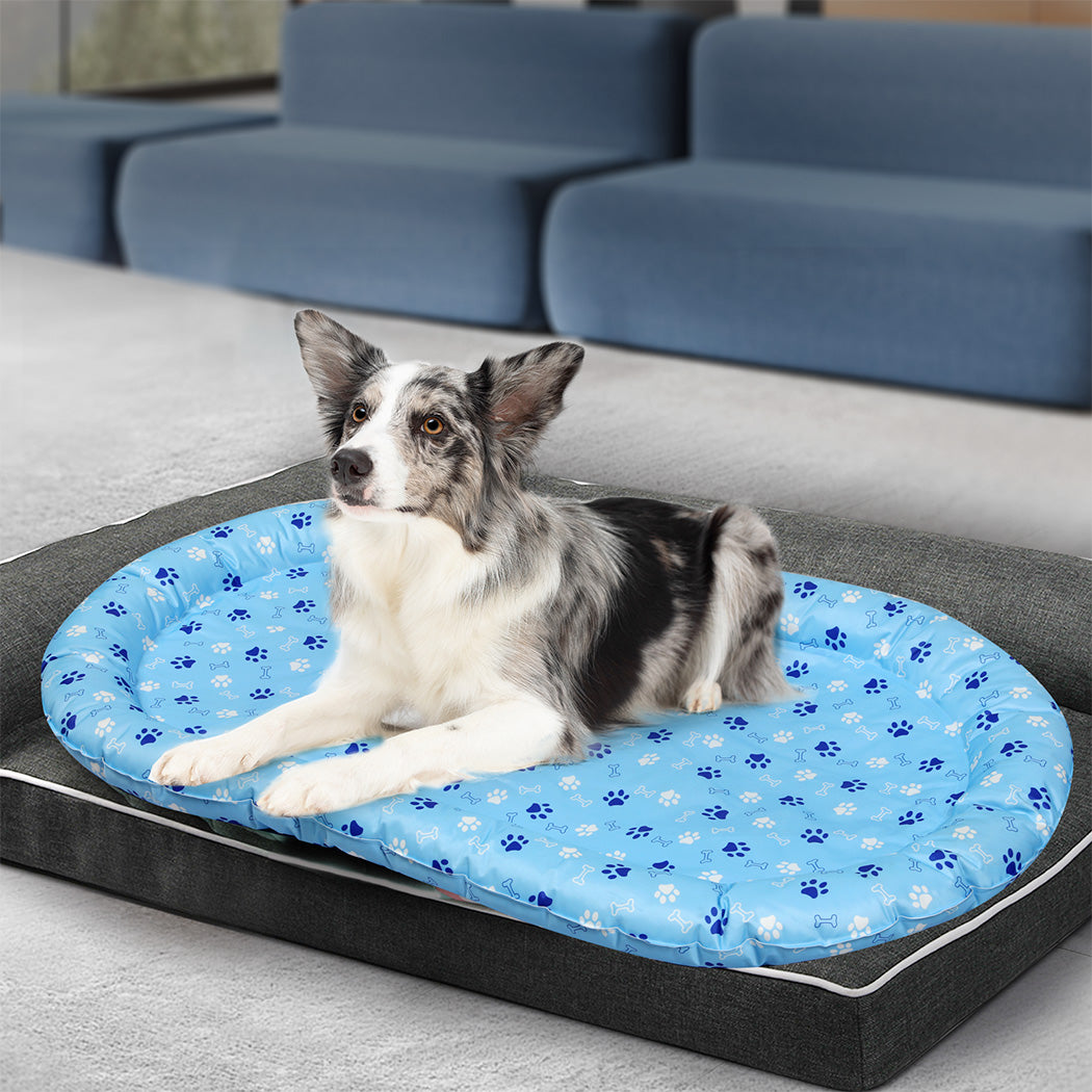pawz-pet-cooling-mat-l-blue-1996005411081293831