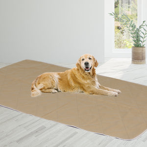 PaWz 2 Pcs 120x180 cm Reusable Waterproof KING-1973193826482917383