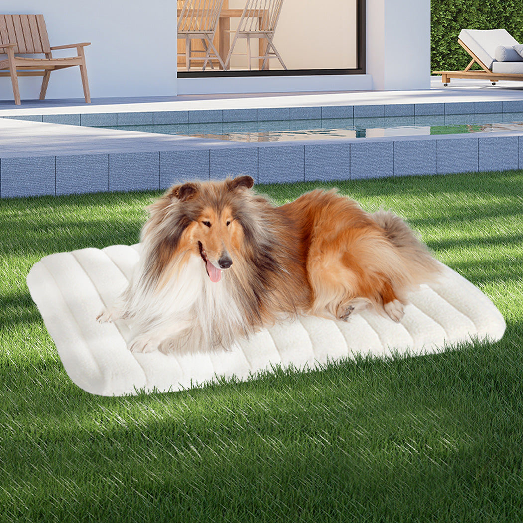 pawz-l-size-orthopedic-dog-bed-with-sherpa-plush-removable-cover-in-white-1996005458200104967