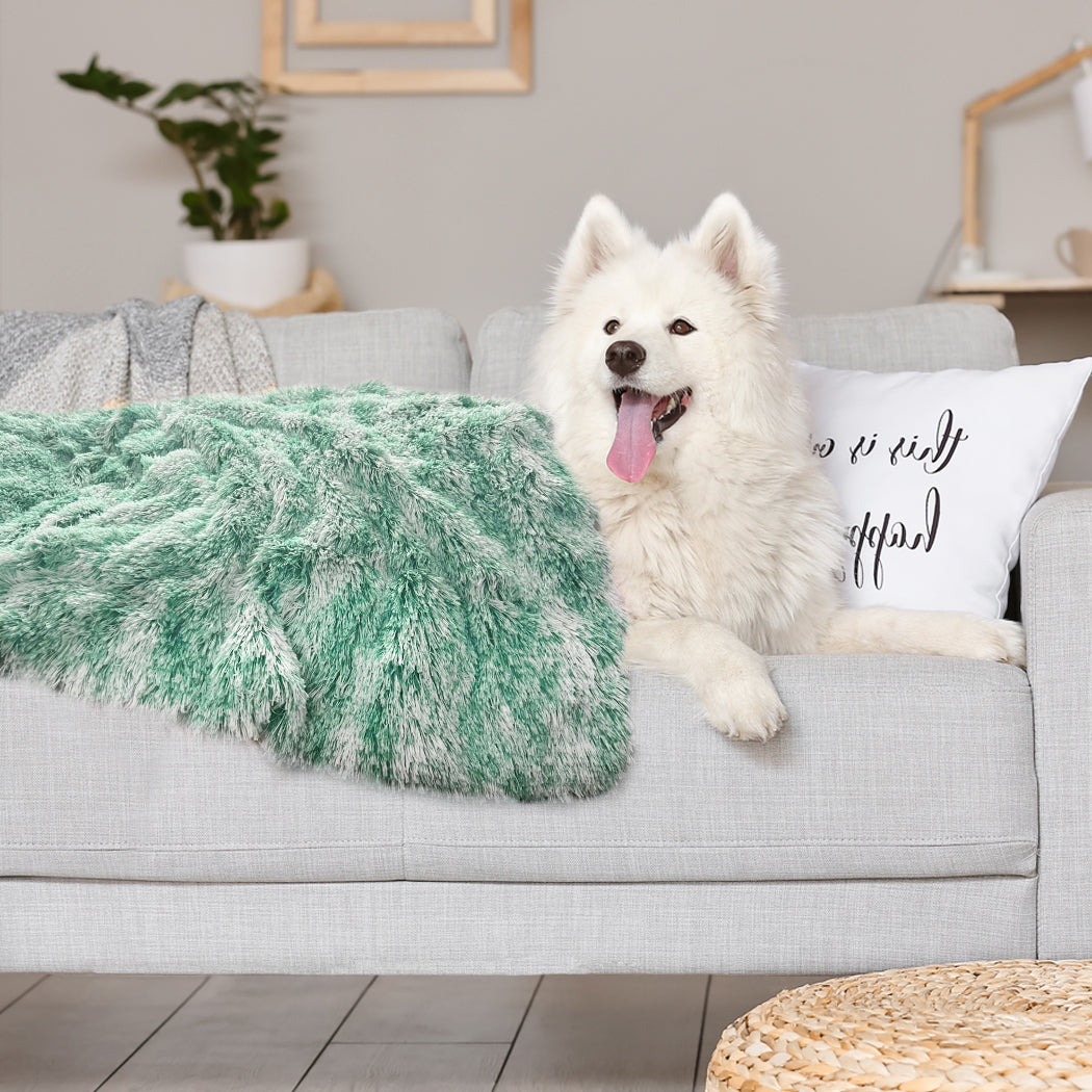 pawz-dog-blanket-pet-cat-mat-puppy-warm-teal-1975420458325118983