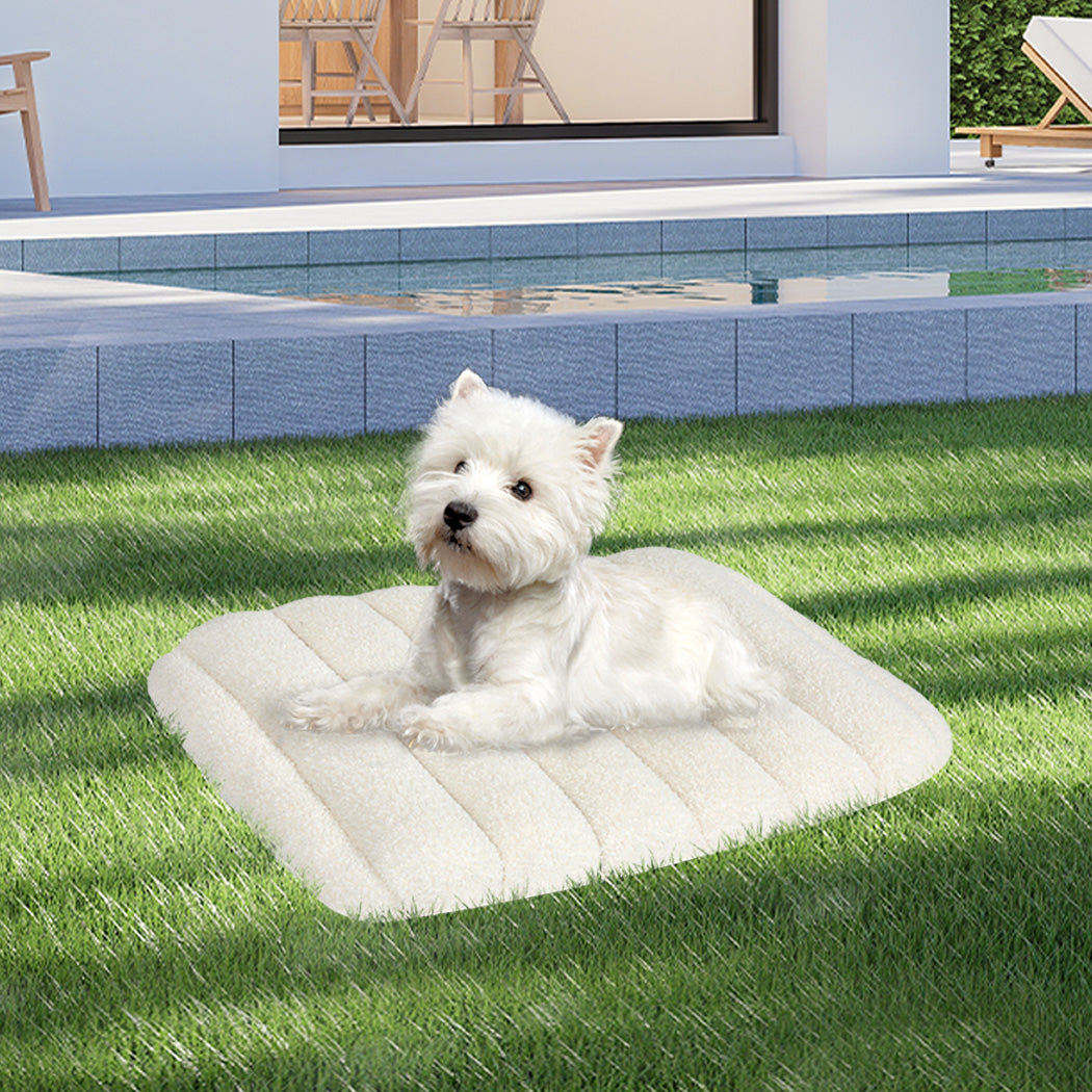 pawz-s-size-orthopedic-dog-bed-with-sherpa-plush-removable-cover-in-white-1996005458921525255
