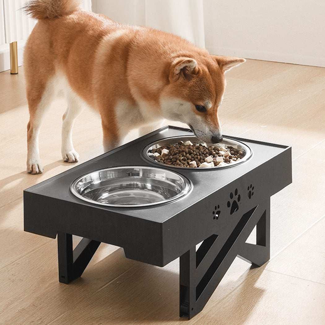 pawz-elevated-pet-feeder-food-water-1973193653836976135