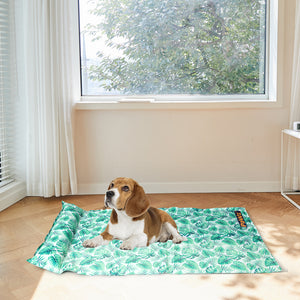 PaWz Pet Cooling Mat Cat Dog Gel Non-Toxic Medium-1973193669372678151