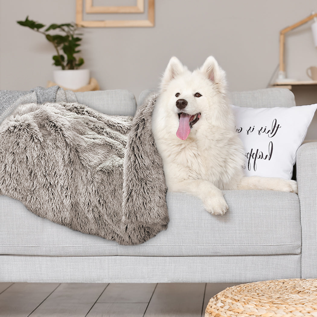 pawz-dog-blanket-pet-cat-mat-puppy-warm-brown-1975420457951825927