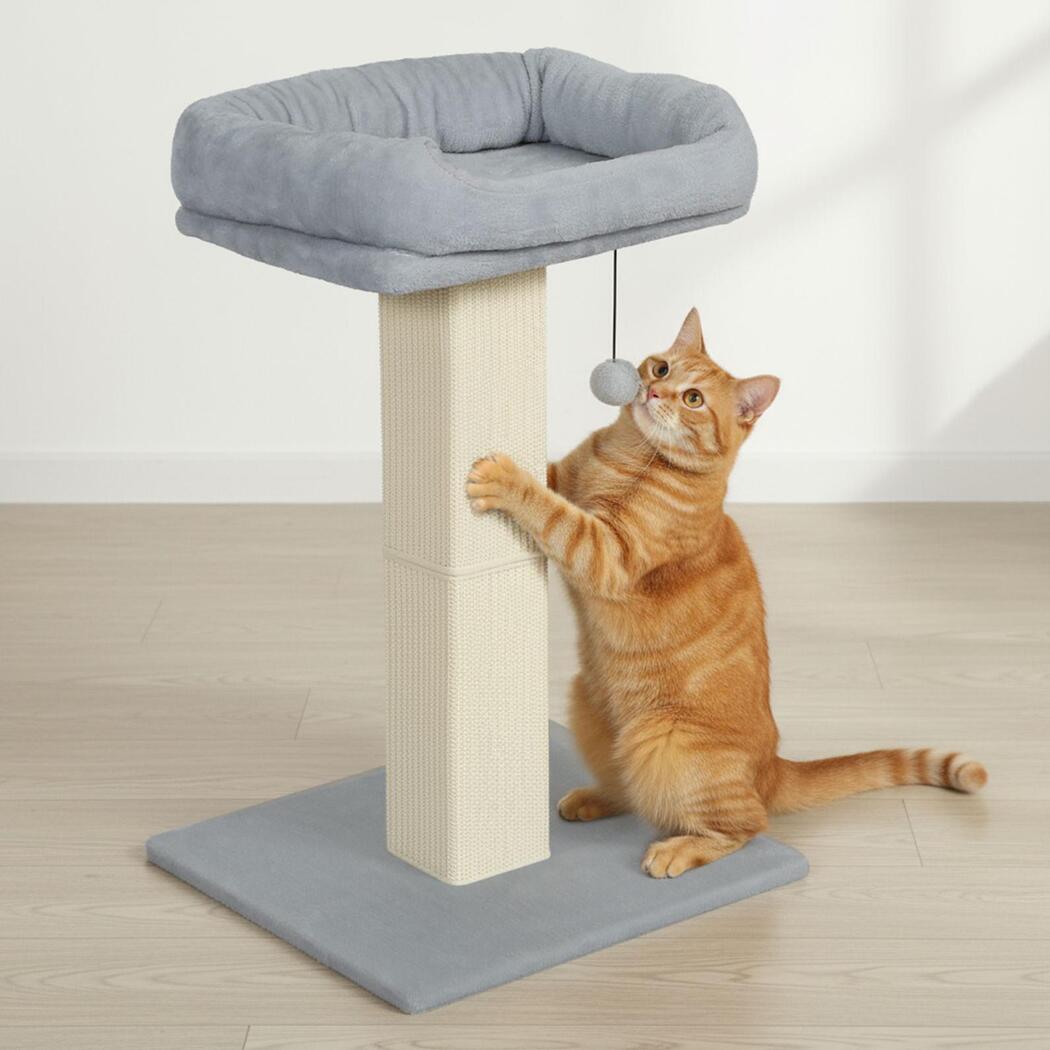 pawz-cat-scratcher-big-perch-bed-1996005542006493191