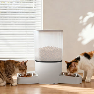 PaWz 6L Automatic Pet Feeder 2 Bowl Food Dispenser-1996009989667426311