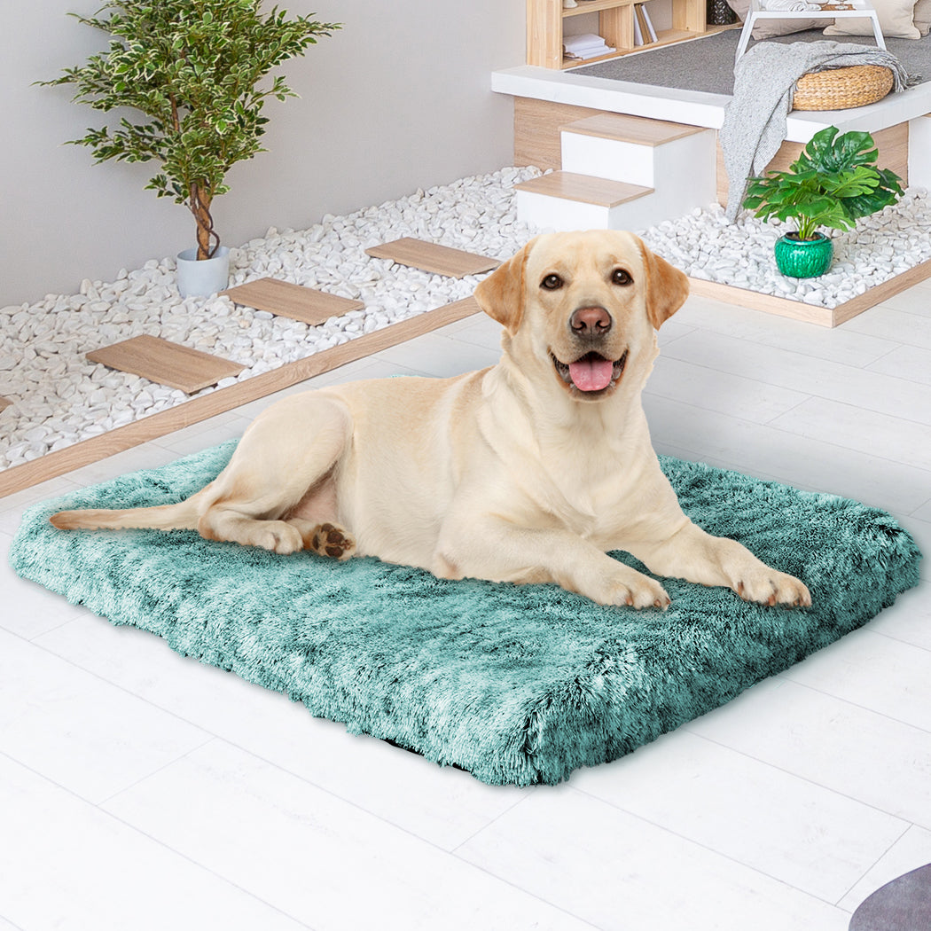 pawz-dog-mat-pet-calming-bed-memory-l-green-large-1973193659503480839