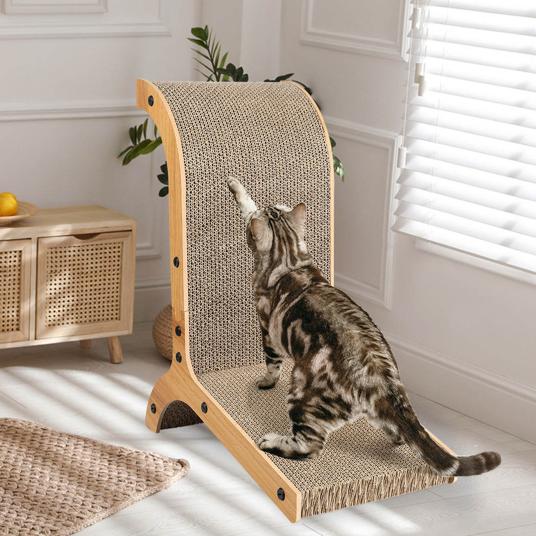 pawz-cat-scratch-pad-cardboard-kitten-1973193667875311623