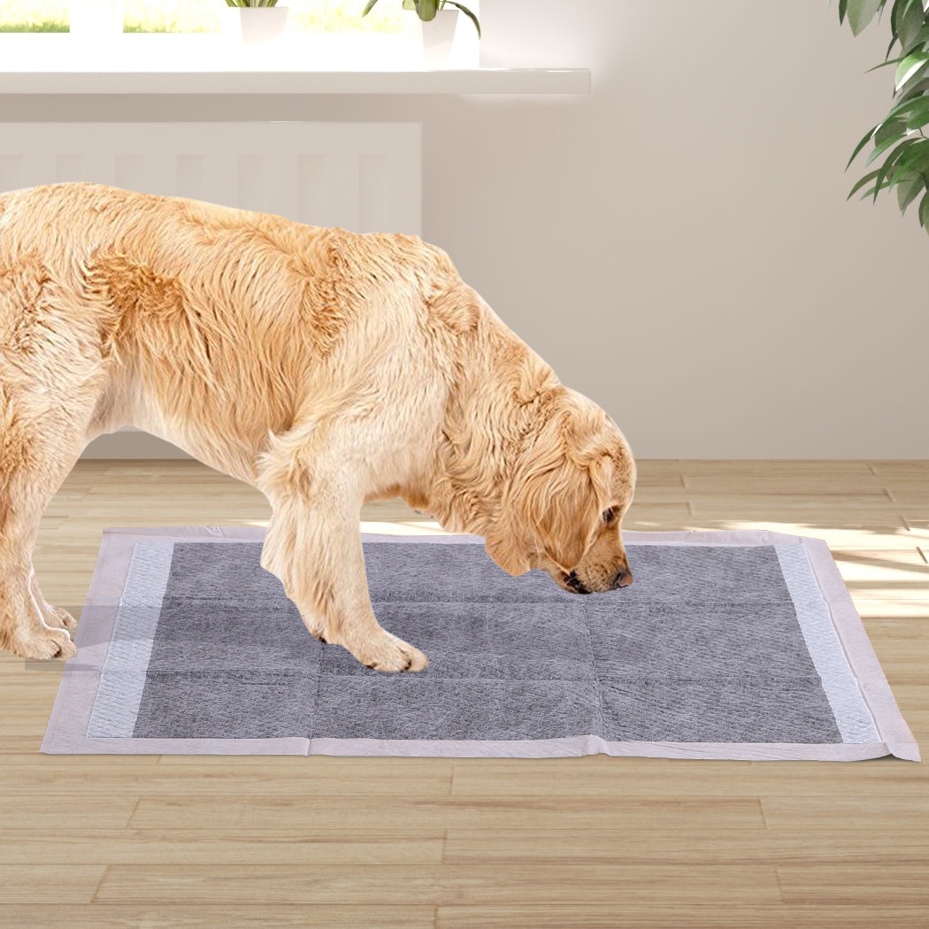 pawz-400-pcs-60x60cm-charcoal-pet-puppy-1973193825925074950