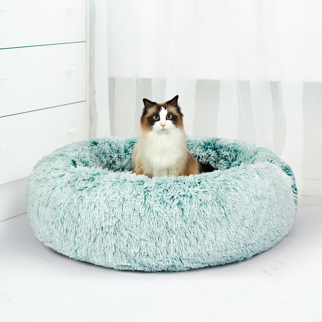 pawz-replaceable-cover-for-dog-calming-xxl-teal-cover-xx-large-1975420448715968519