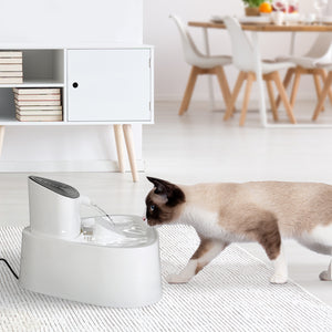 PaWz Electric Pet Water Fountain Drinking-1975420396794679302