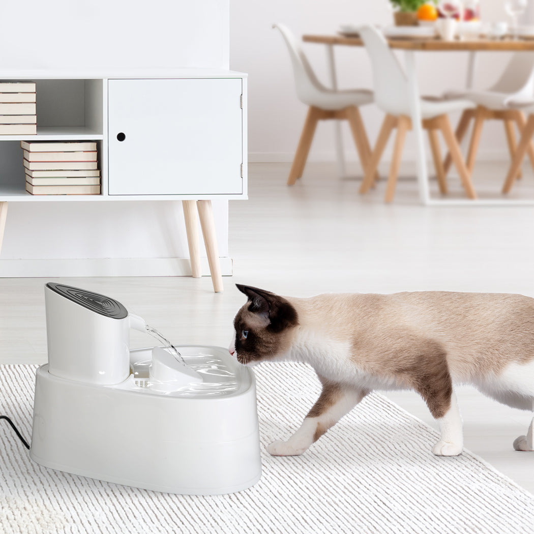 pawz-electric-pet-water-fountain-drinking-1975420396794679302