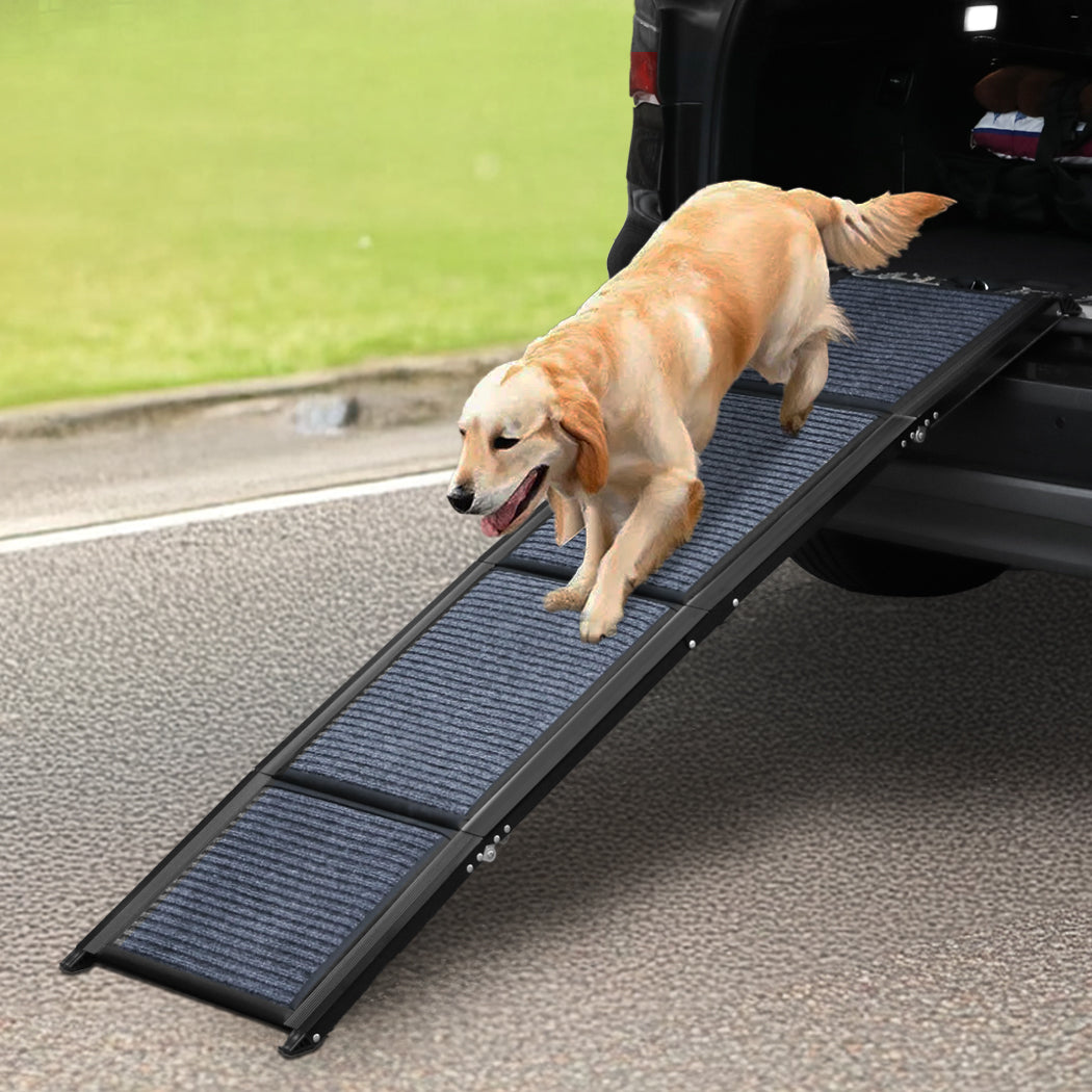 pawz-dog-ramp-1996005406287204359