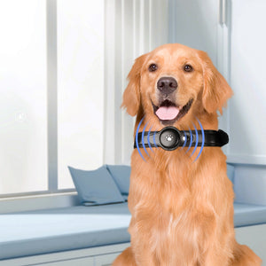 PaWz Bluetooth Pet Tracker Collar Dog Black-1973193679573225479
