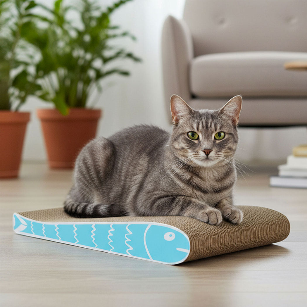 pawz-2x-cat-scratcher-board-bed-1996005541264101383