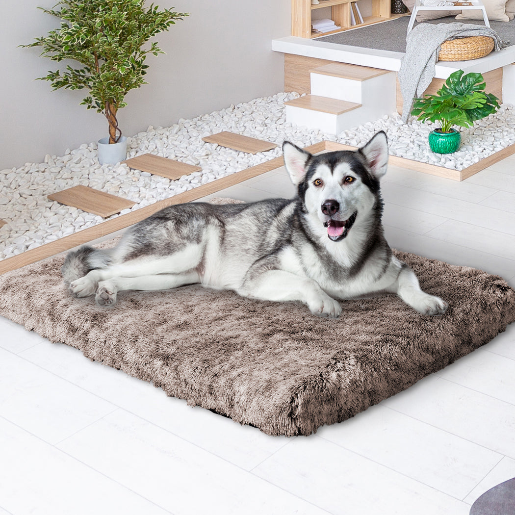 pawz-dog-mat-pet-calming-bed-memory-xl-coffee-x-large-1973193661260894215
