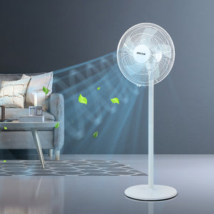 Spector Pedestal Floor Fan Portable White-1973193857692733447