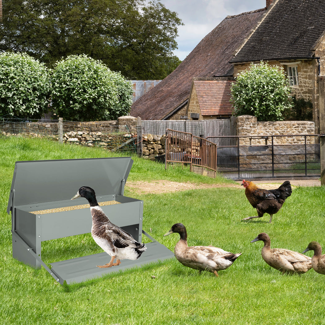 pawz-5kg-auto-automatic-chicken-feeder-1973193836343726087