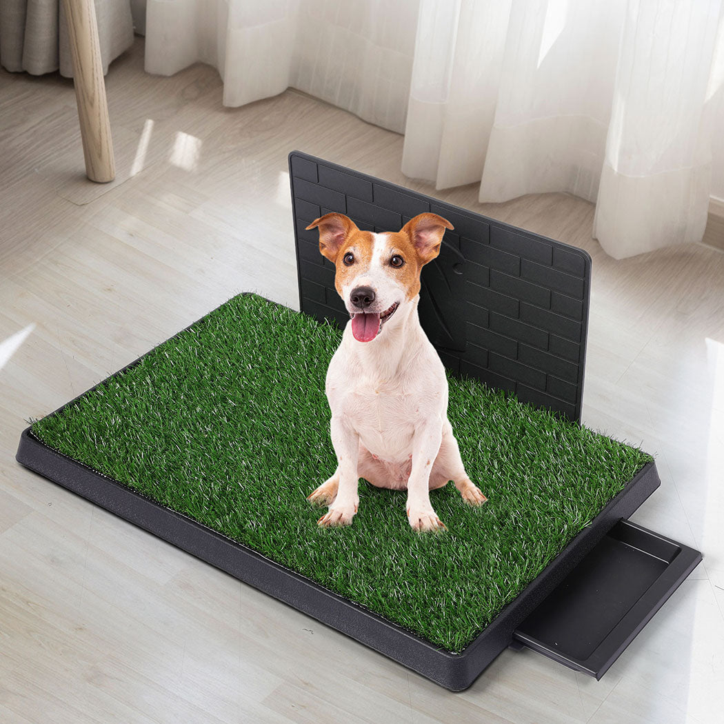 pawz-indoor-dog-pet-grass-potty-training-l-1973193644177494023