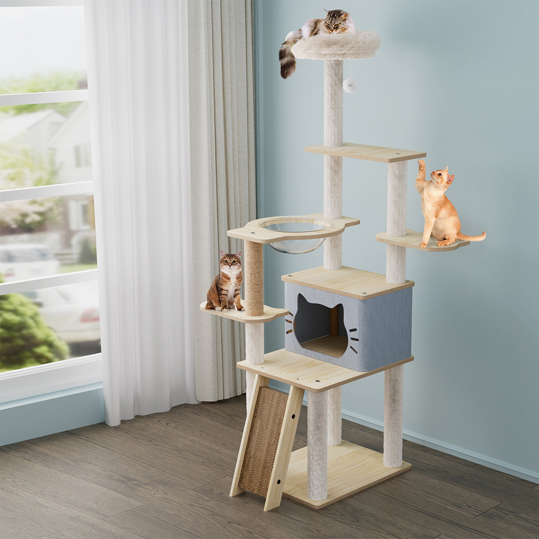 pawz-cat-tree-tower-large-scratcher-condo-house-160cm-1996005457323495431