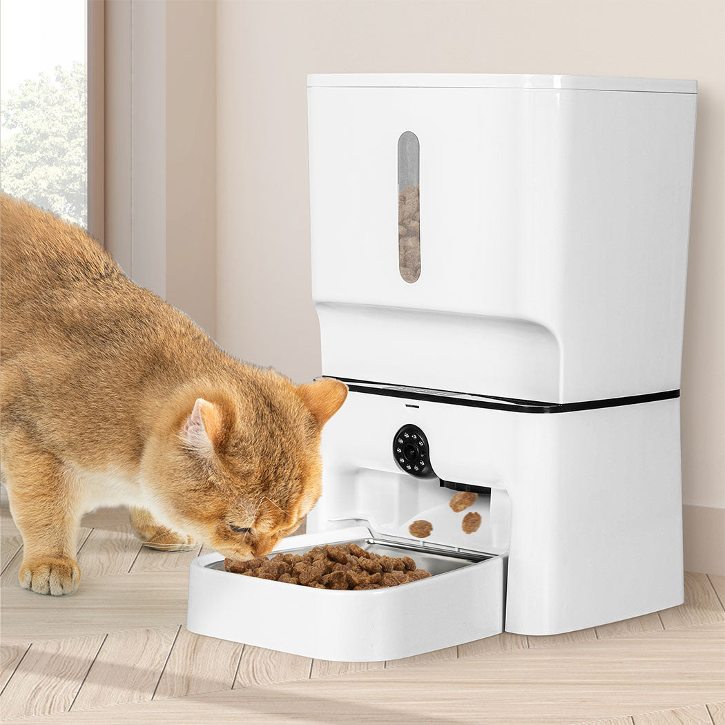 pawz-2-in-1-automatic-pet-feeder-wifi-camera-laser-toy-1996005457851977735