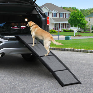 Pawz Dog Ramp-1996005406639525895