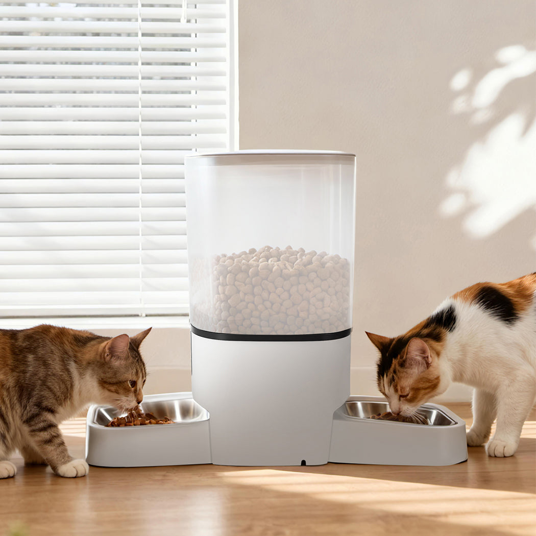 pawz-6l-automatic-pet-feeder-2-bowl-food-dispenser-1996009989491265543