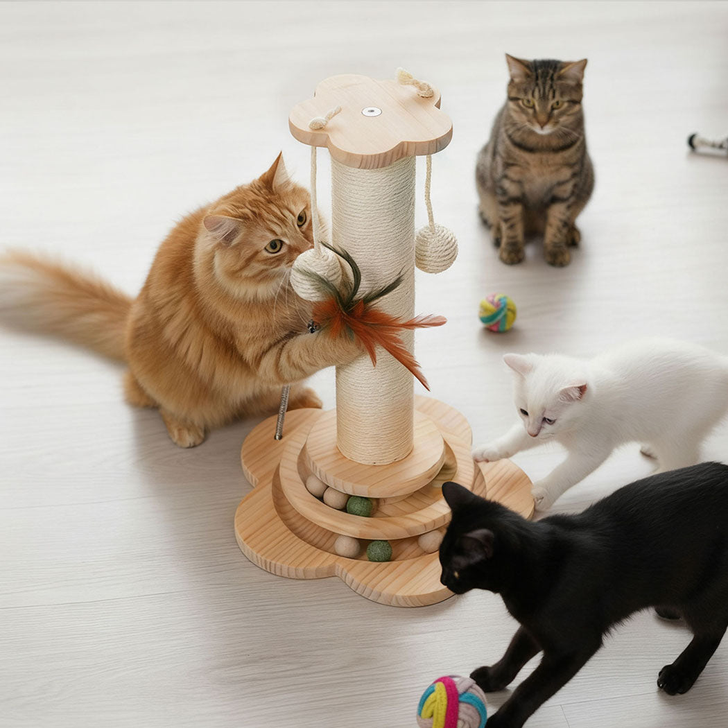 pawz-cat-scratcher-wooden-scratching-post-1996005539410219015