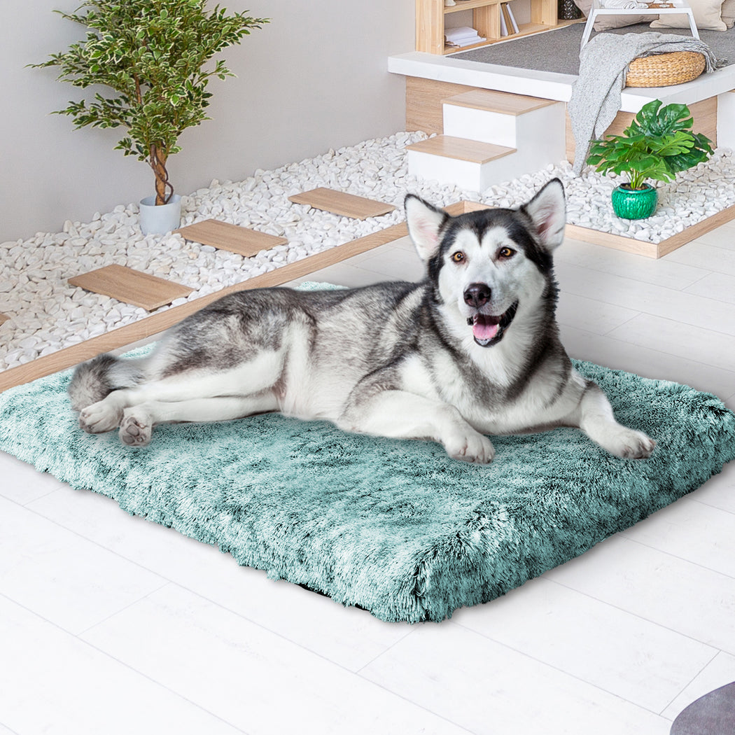 pawz-dog-mat-pet-calming-bed-memory-xl-green-x-large-1973193661843902471