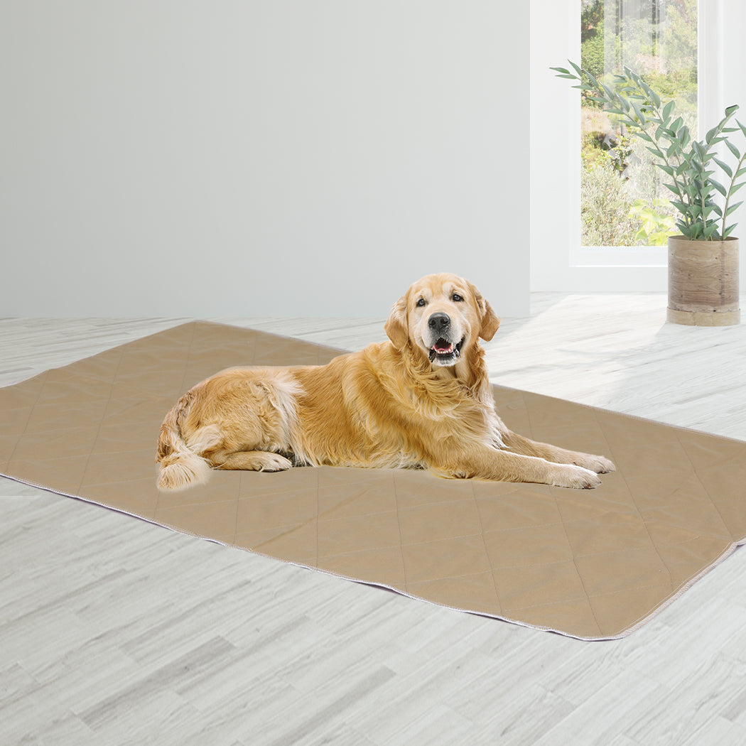 pawz-2-pcs-120x120-cm-reusable-waterproof-jumbo-1975420507331366919