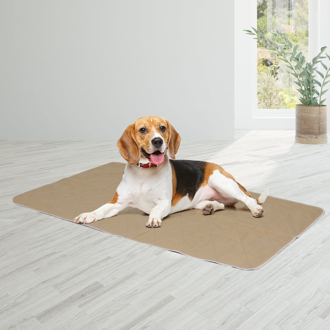 pawz-2-pcs-60x90-cm-reusable-waterproof-large-1973193826667466759