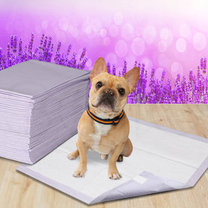 PaWz 200x Pet Dog Toilet Training Pad-1975420396429774855