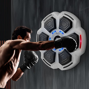 Centra Electronic Punching Box Music Machine Wall Mounted Bluetooth 9 Speeds-1996005548767711239