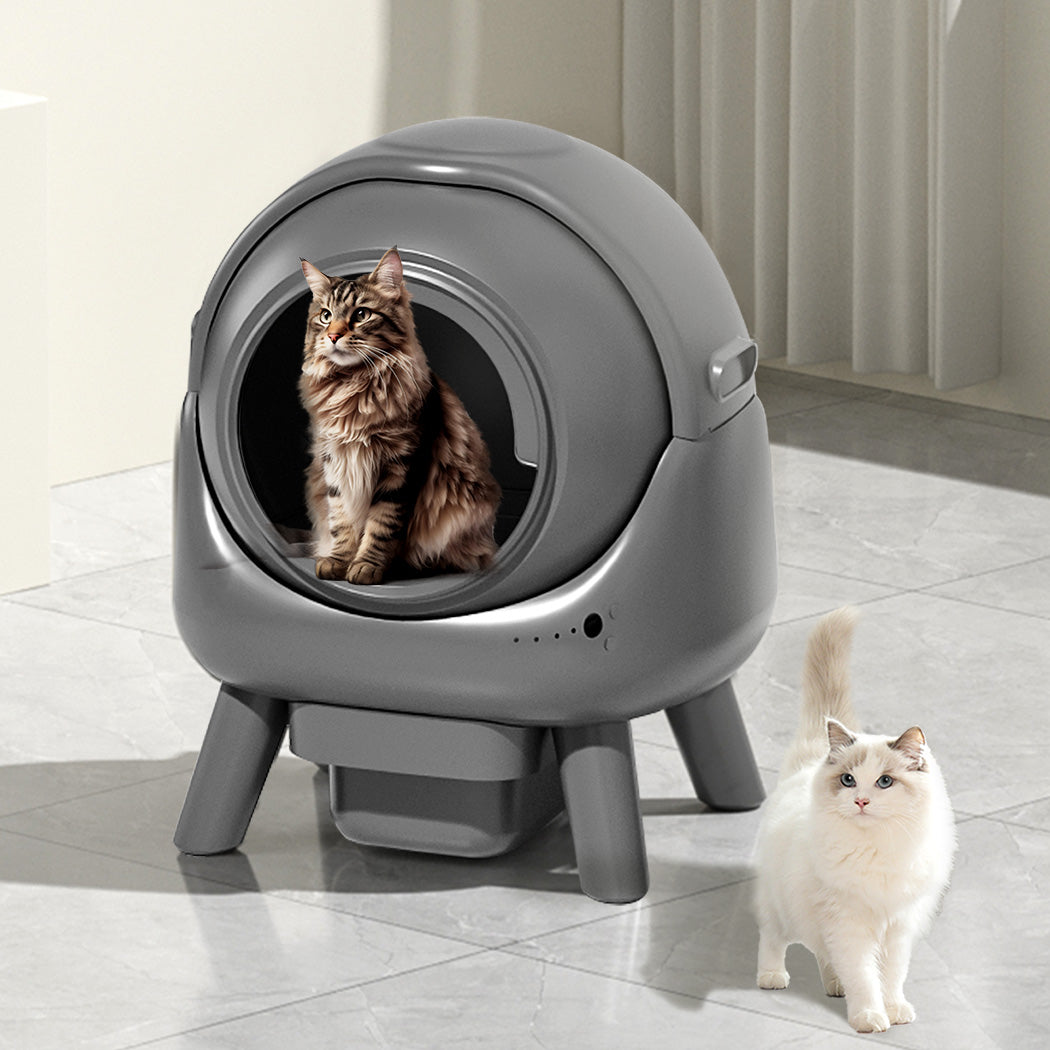 pawz-smart-self-cleaning-cat-litter-box-app-control-1996005433076224007