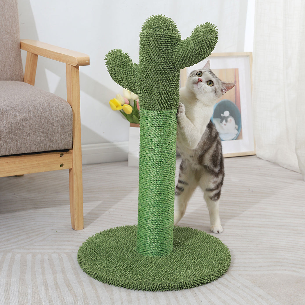 cactus-cat-scratching-posts-pole-tree-1973193644559175687