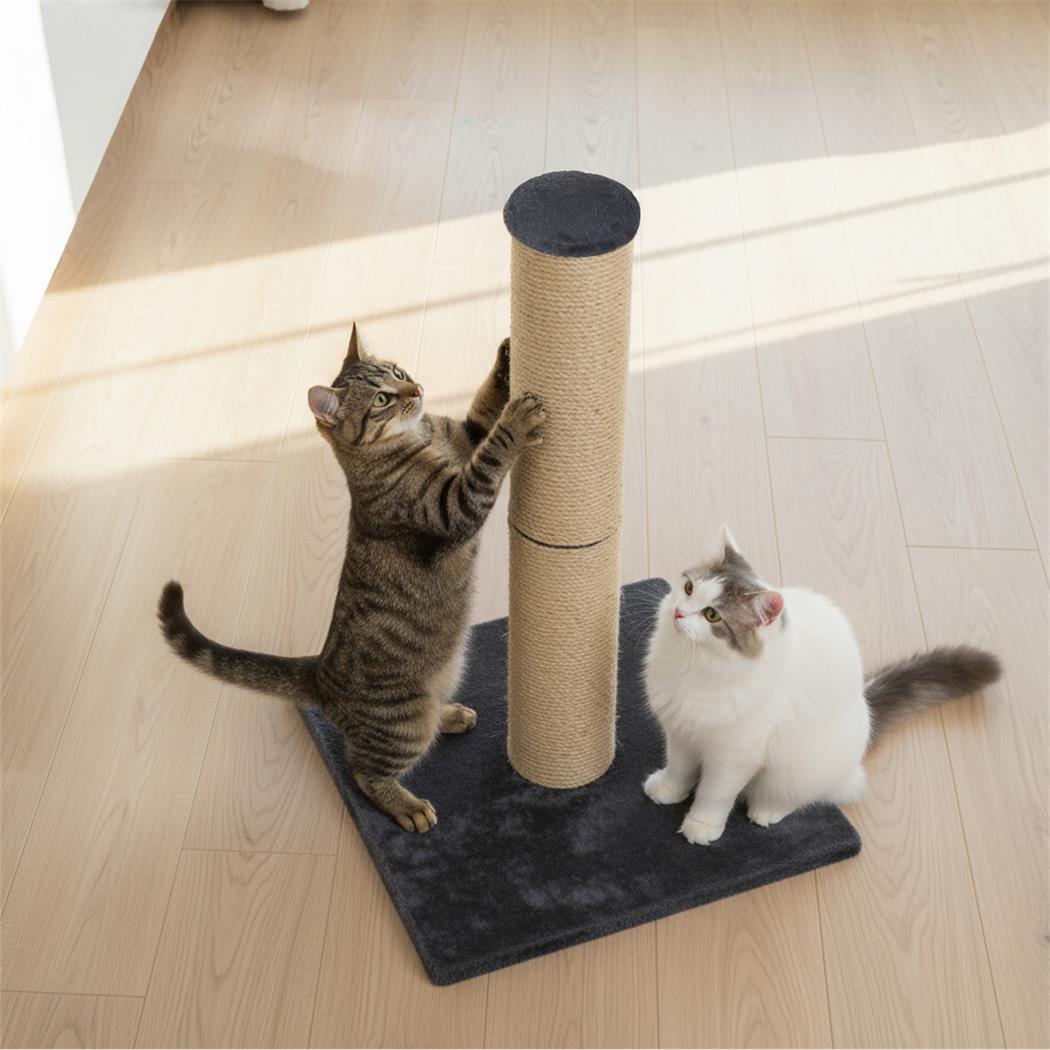 pawz-cat-scratcher-scratching-post-1996005541817749511